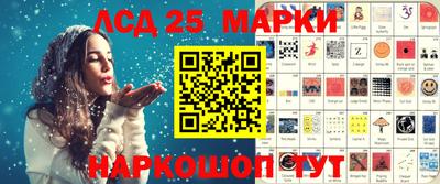 шишки Кандалакша