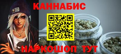 шишки Кандалакша