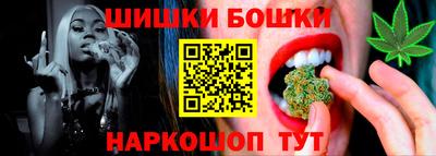 шишки Кандалакша