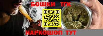 шишки Кандалакша