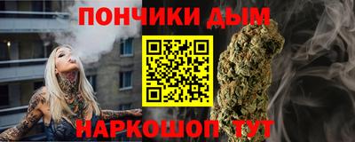 шишки Кандалакша