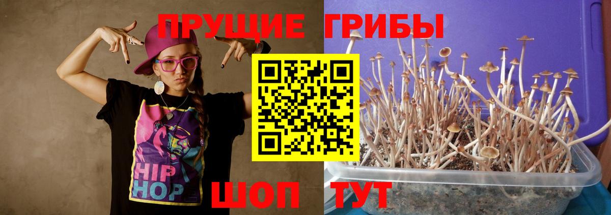 Лесосибирск  Псилоцибиновые грибы MAGIC MUSHROOMS  Вход с VPN 